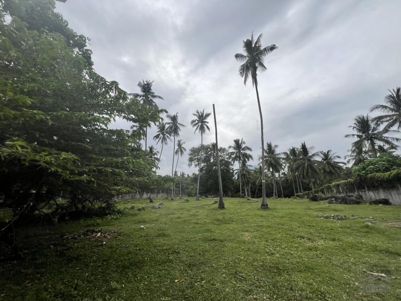 Land and Farm for sale in Bacong - image 3