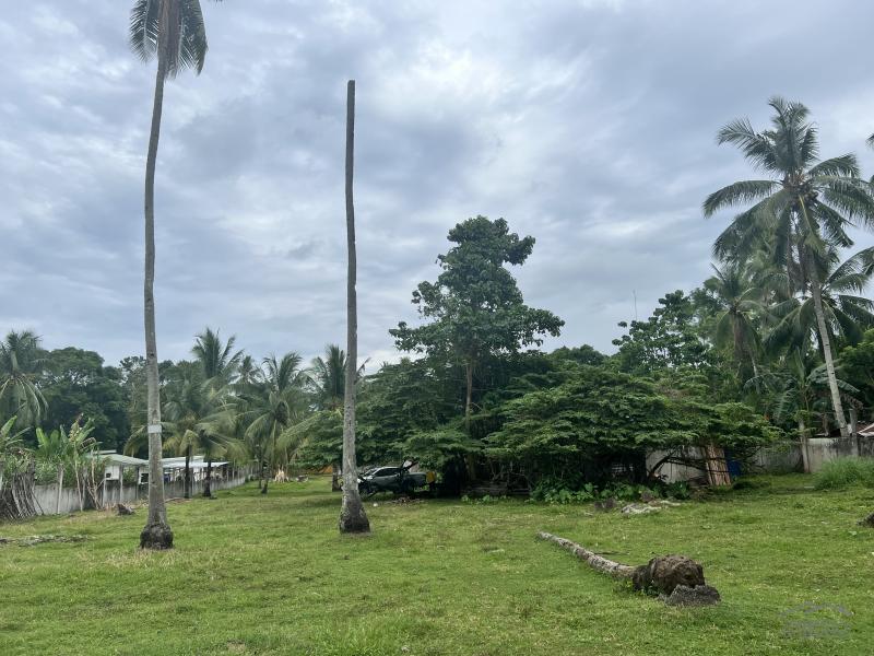Land and Farm for sale in Bacong - image 4