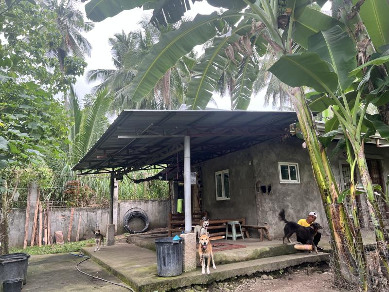 Land and Farm for sale in Bacong - image 5