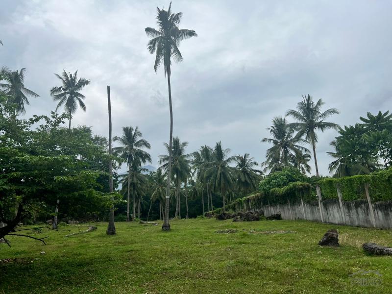 Land and Farm for sale in Bacong - image 6