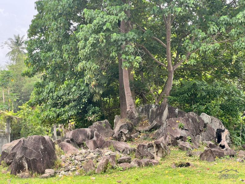 Land and Farm for sale in Bacong - image 8