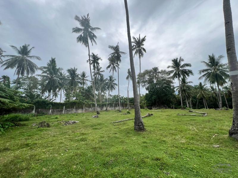 Land and Farm for sale in Bacong - image 9