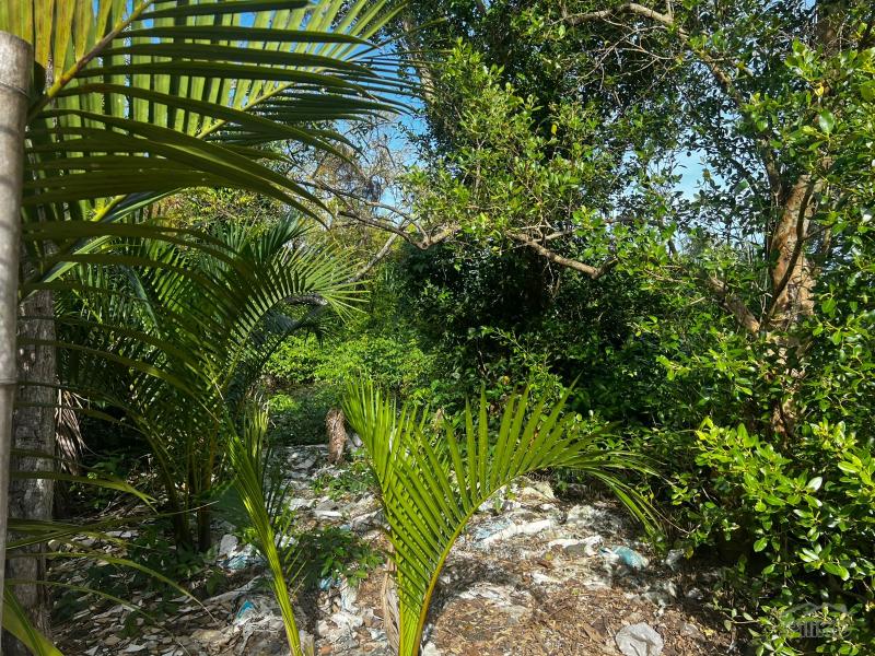 Residential Lot for sale in Zamboanguita - image 15