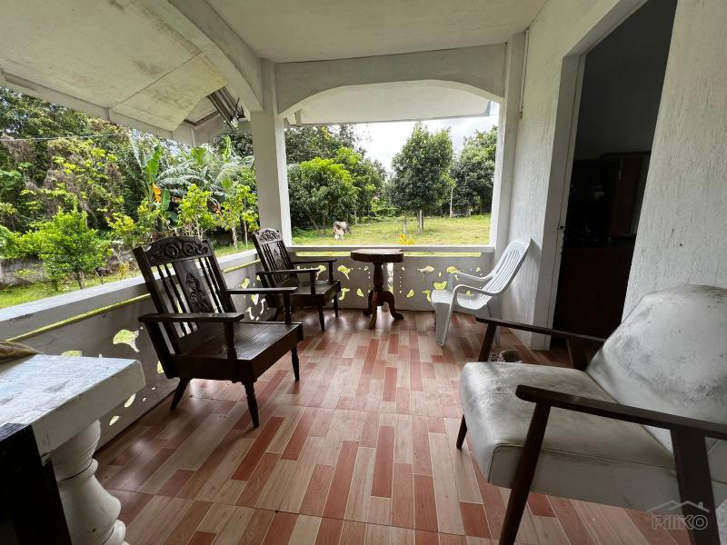 2 bedroom House and Lot for sale in Bacong - image 12