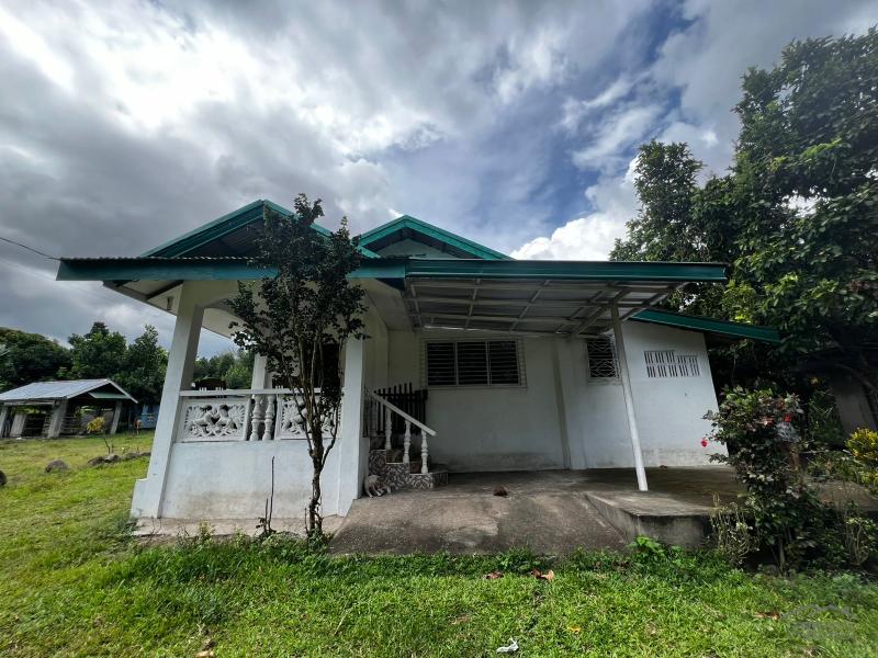 Pictures of 2 bedroom House and Lot for sale in Bacong