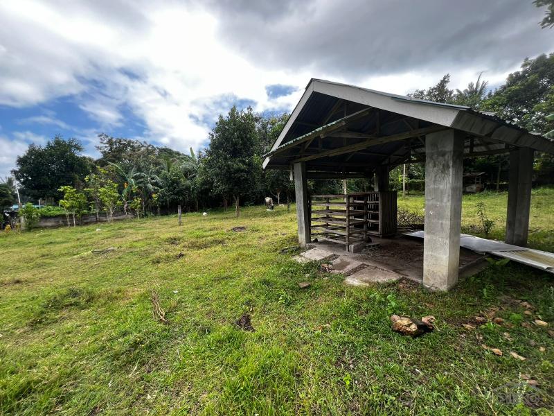 3 bedroom House and Lot for sale in Bacong - image 10