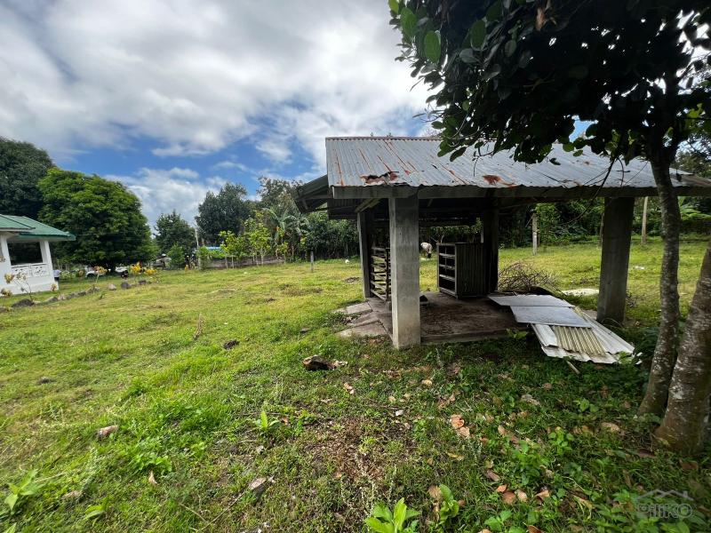 3 bedroom House and Lot for sale in Bacong - image 11