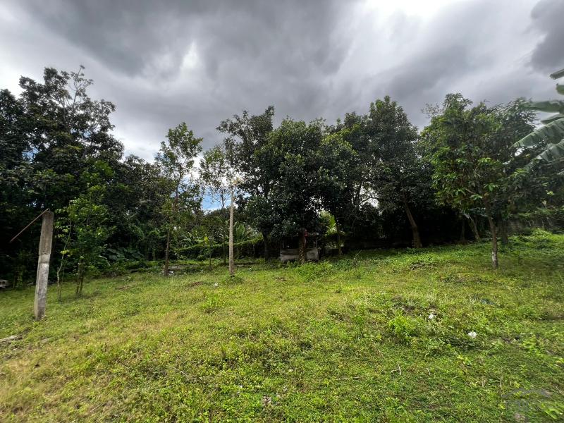 3 bedroom House and Lot for sale in Bacong - image 12