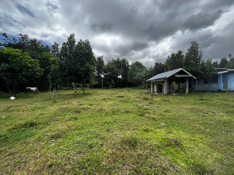 3 bedroom House and Lot for sale in Bacong - image 13