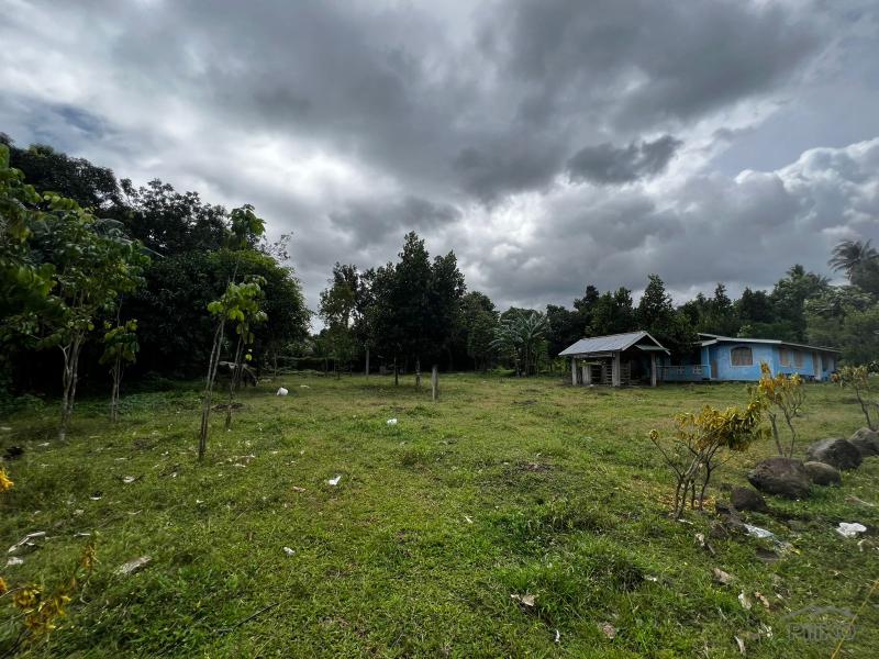 3 bedroom House and Lot for sale in Bacong - image 14