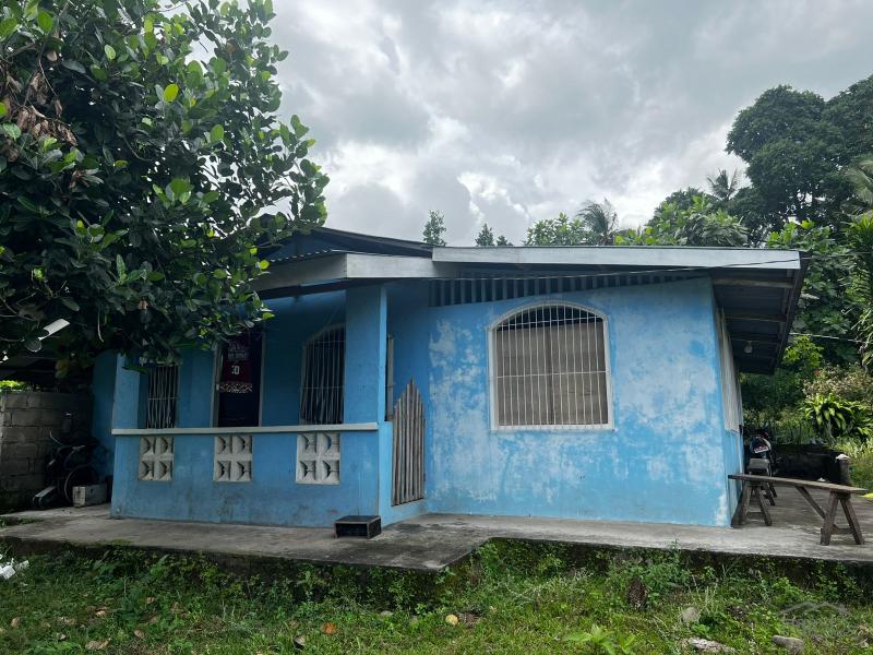 Picture of 3 bedroom House and Lot for sale in Bacong
