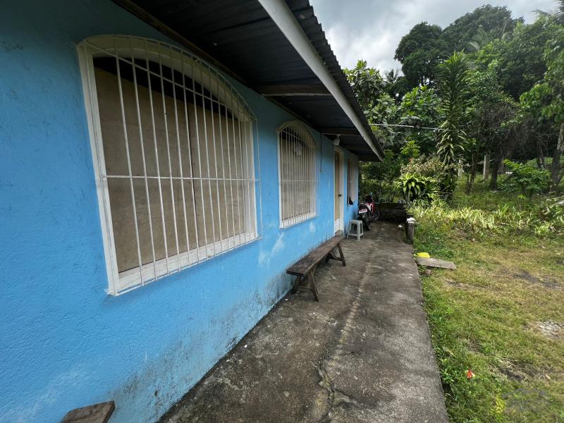 3 bedroom House and Lot for sale in Bacong