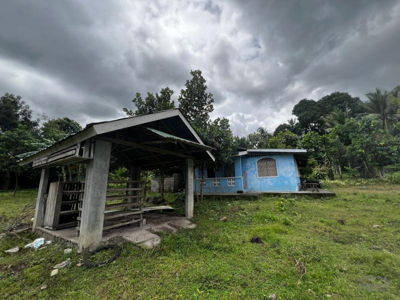 3 bedroom House and Lot for sale in Bacong in Negros Oriental