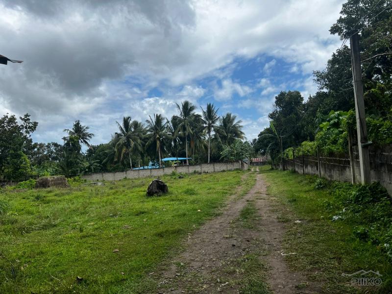 Picture of 3 bedroom House and Lot for sale in Bacong in Negros Oriental