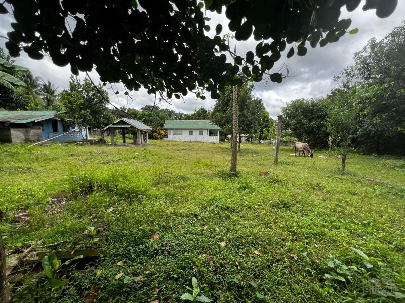3 bedroom House and Lot for sale in Bacong - image 9