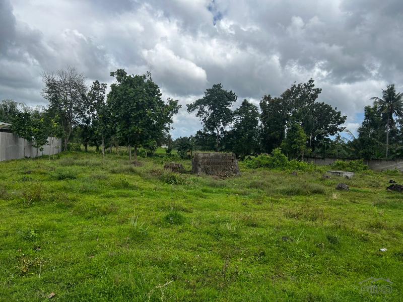 Residential Lot for sale in Bacong - image 10
