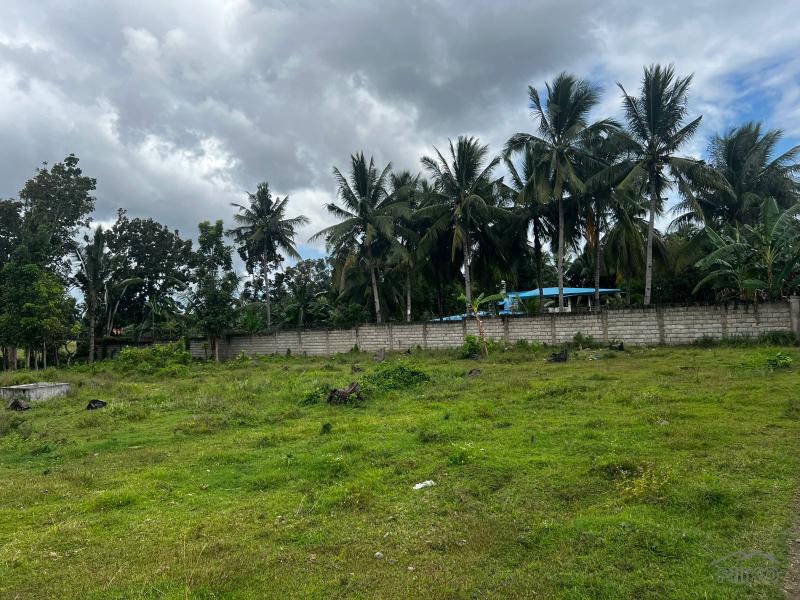 Residential Lot for sale in Bacong - image 11
