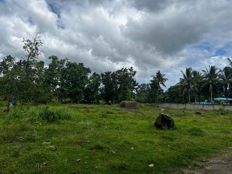 Residential Lot for sale in Bacong - image 13