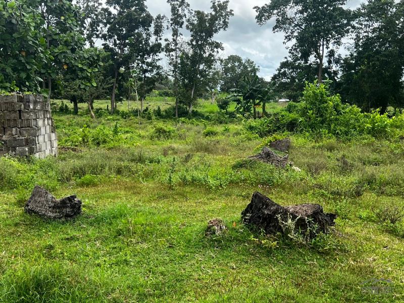 Residential Lot for sale in Bacong - image 2