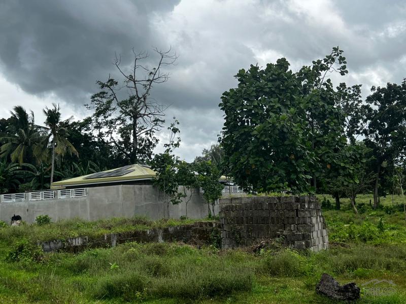 Residential Lot for sale in Bacong - image 3