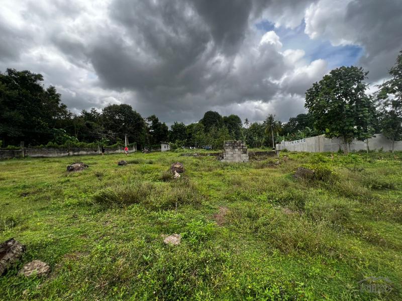 Residential Lot for sale in Bacong - image 4