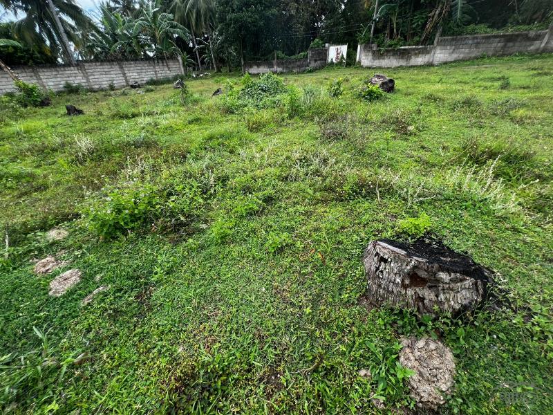 Residential Lot for sale in Bacong - image 5