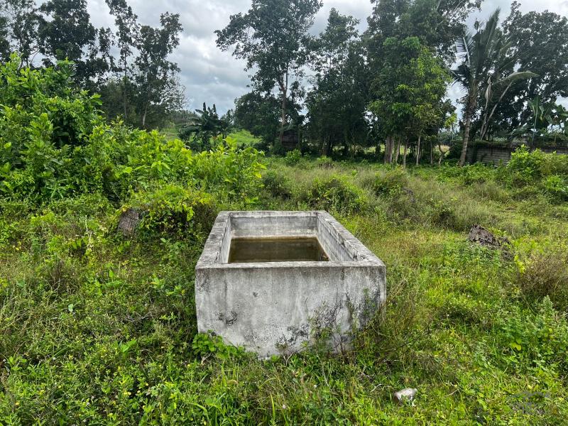 Residential Lot for sale in Bacong - image 6