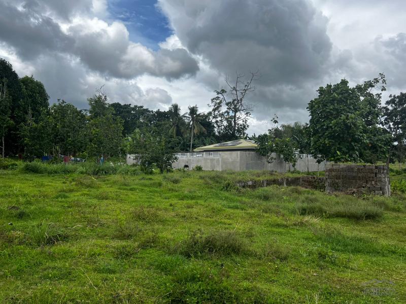 Residential Lot for sale in Bacong - image 7