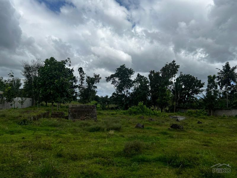 Residential Lot for sale in Bacong - image 8