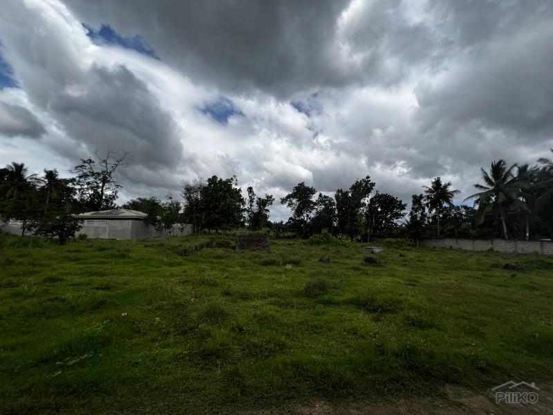 Residential Lot for sale in Bacong - image 9
