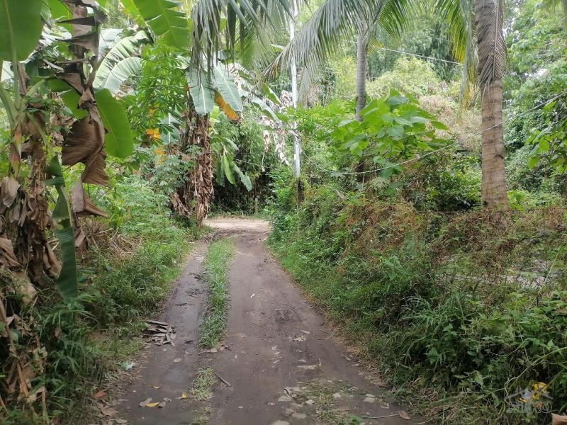 Residential Lot for sale in Bacong - image 10