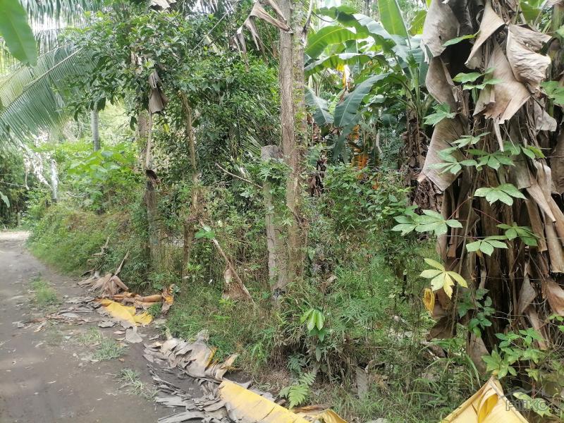 Residential Lot for sale in Bacong - image 12