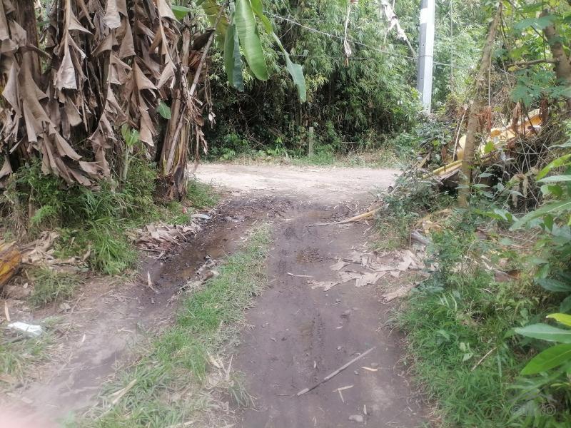 Residential Lot for sale in Bacong - image 13