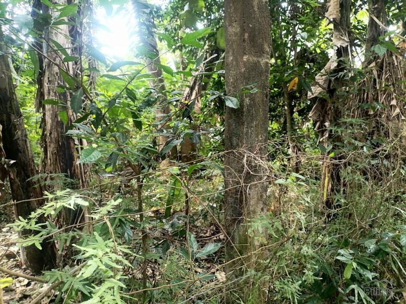 Residential Lot for sale in Bacong in Philippines
