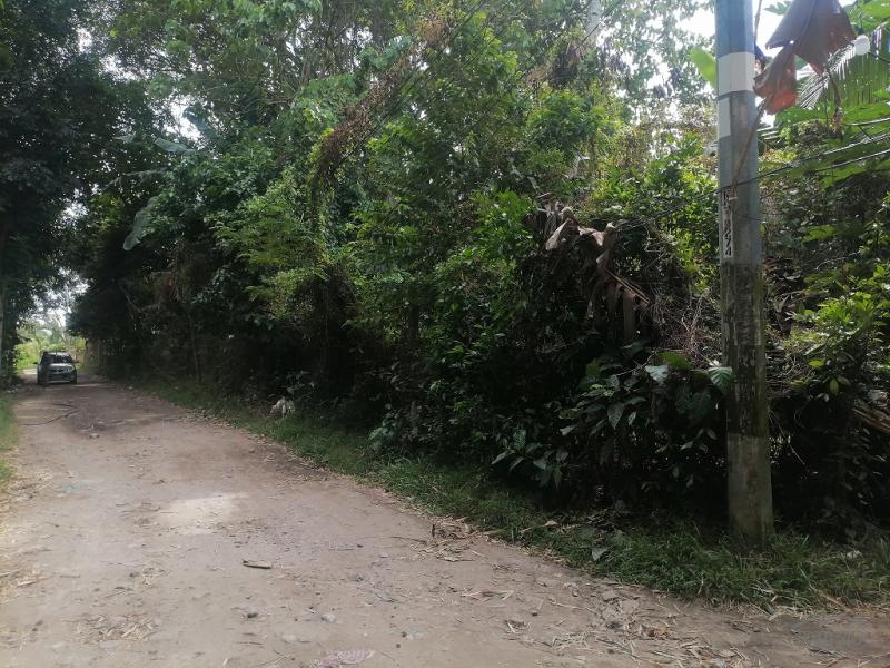 Picture of Residential Lot for sale in Bacong in Negros Oriental