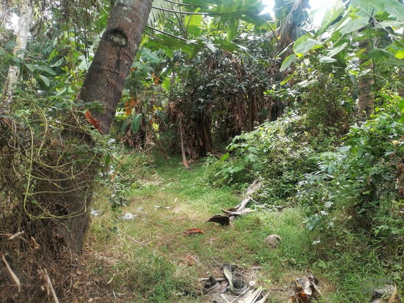 Picture of Residential Lot for sale in Bacong in Philippines