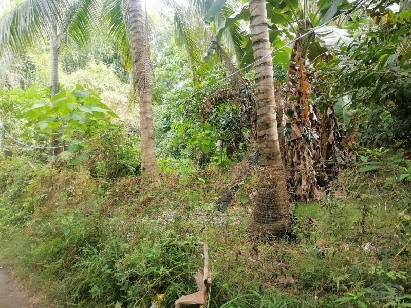 Residential Lot for sale in Bacong - image 9