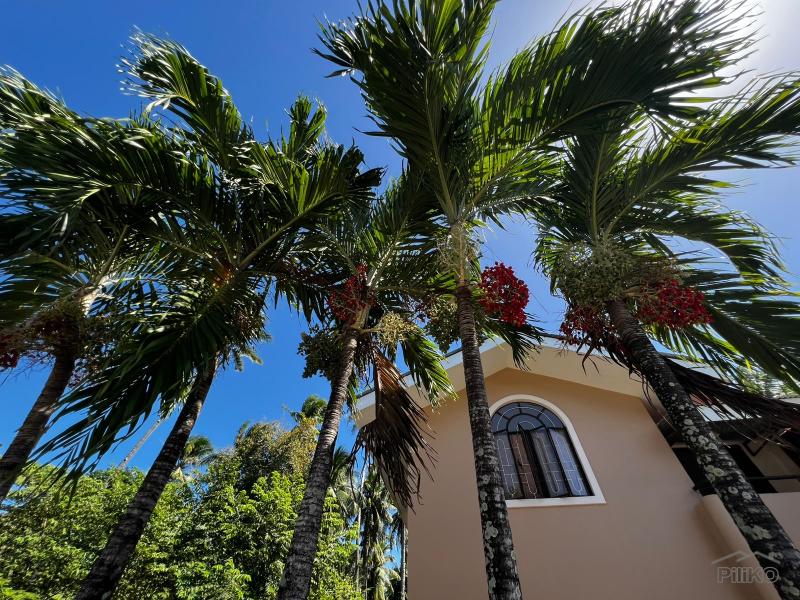4 bedroom House and Lot for sale in Zamboanguita - image 13