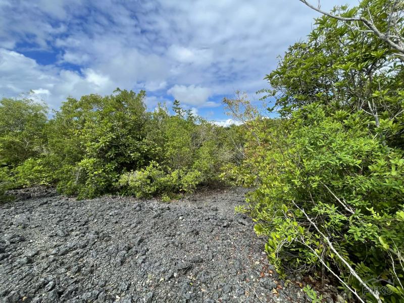 Residential Lot for sale in San Juan - image 10