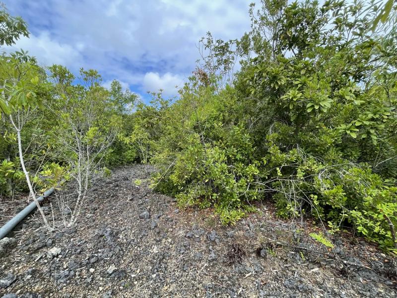 Residential Lot for sale in San Juan - image 11