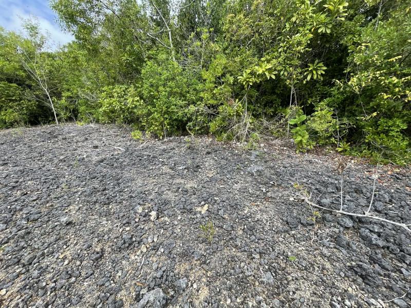 Residential Lot for sale in San Juan - image 12