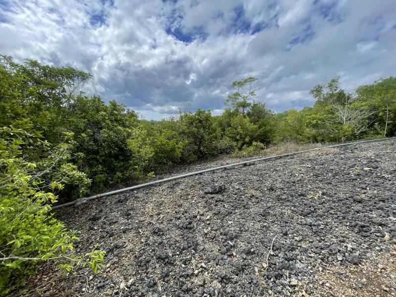 Residential Lot for sale in San Juan - image 14