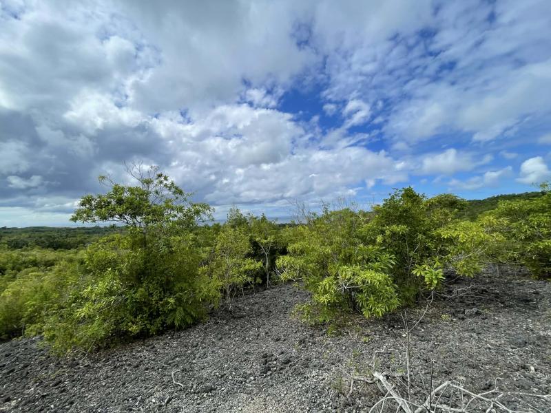 Residential Lot for sale in San Juan in Siquijor