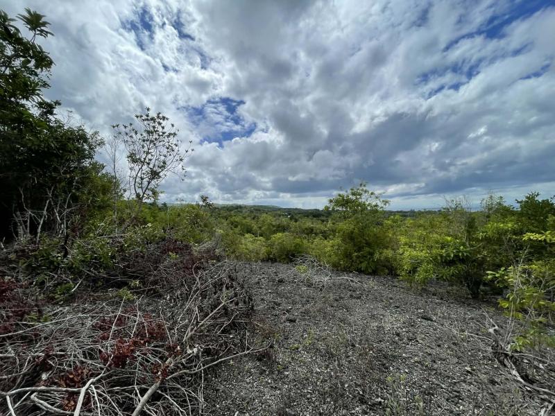 Residential Lot for sale in San Juan - image 9