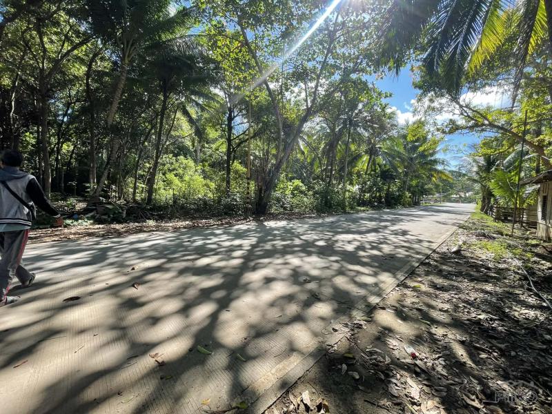Commercial Lot for sale in San Juan - image 10