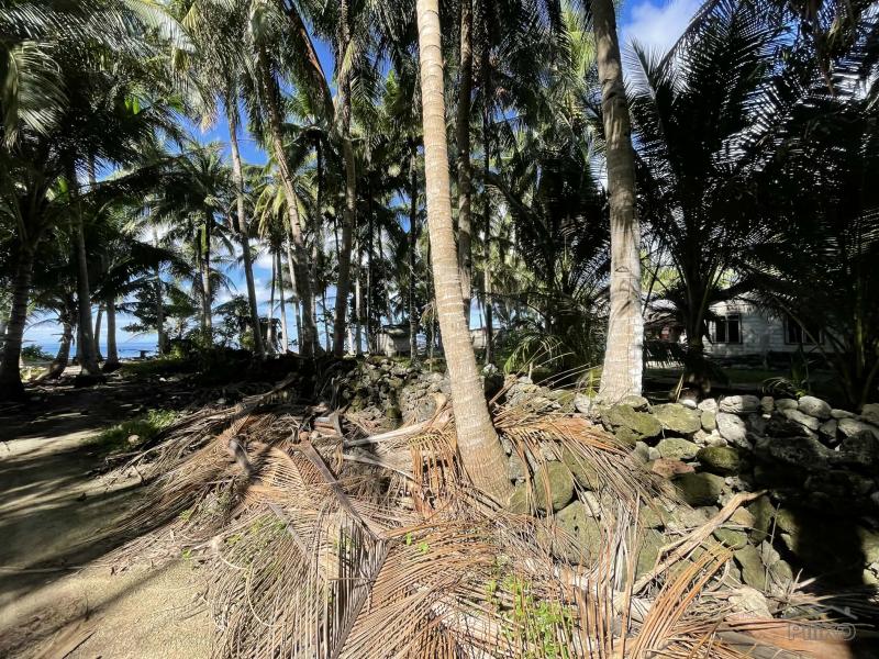 Commercial Lot for sale in San Juan - image 13