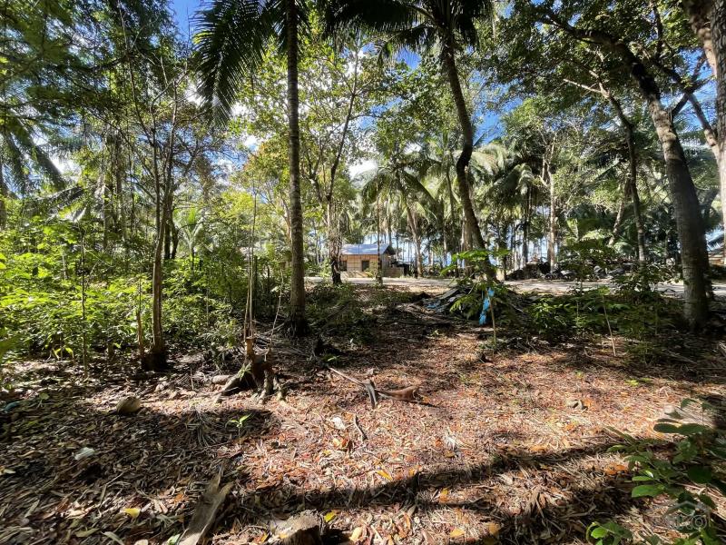 Commercial Lot for sale in San Juan - image 14