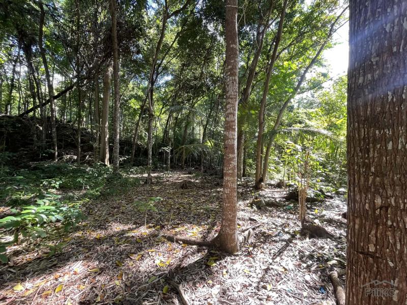 Commercial Lot for sale in San Juan