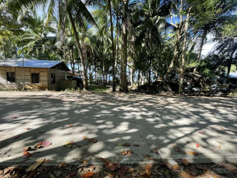 Commercial Lot for sale in San Juan in Philippines