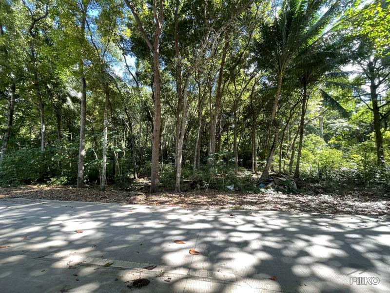 Picture of Commercial Lot for sale in San Juan in Siquijor